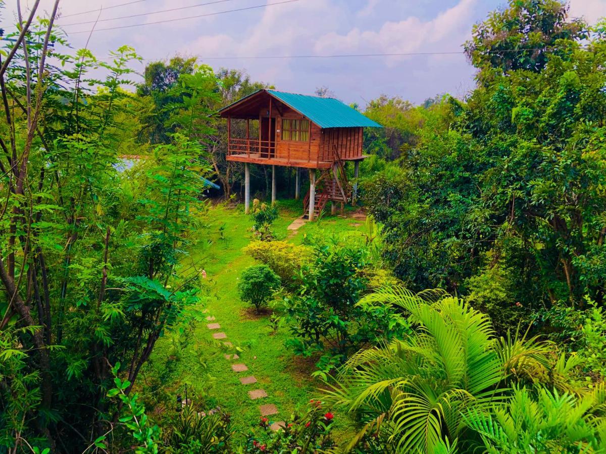 Sungreen Cottage Sigirija Zewnętrze zdjęcie